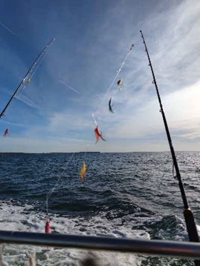 clbureise 2023 20221227 1763986157